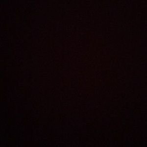 Meet your Posher, Lizbeth